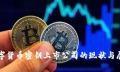 数字货币密钥上市公司的