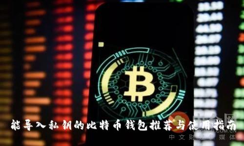能导入私钥的比特币钱包推荐与使用指南