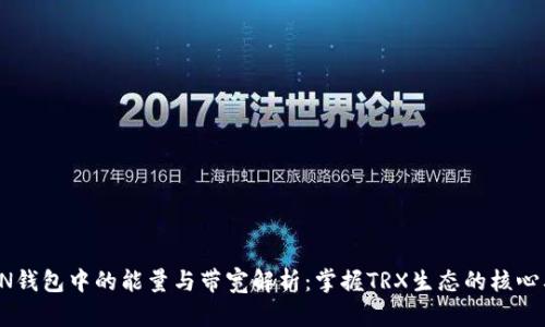 TRON钱包中的能量与带宽解析：掌握TRX生态的核心要素
