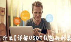 USDT钱包是什么？详解USDT钱包的种类与使用方法