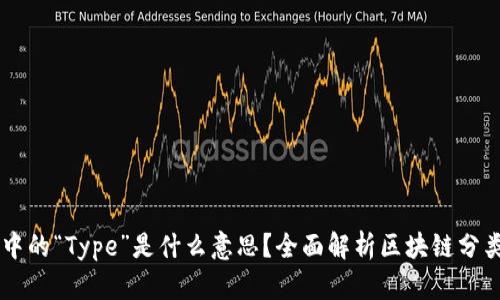 区块链中的“Type”是什么意思？全面解析区块链分类和应用